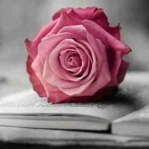 Meet your Posher, Beatrïz